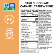 Dark Chocolate Nutrition Bar Minis Combo 30-Pack: Almond Coconut + Caramel Cashew